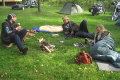 Back to the Roots 2008